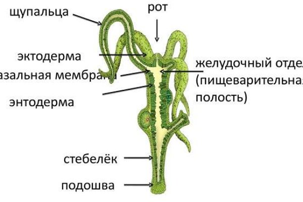 Аккаунты кракен