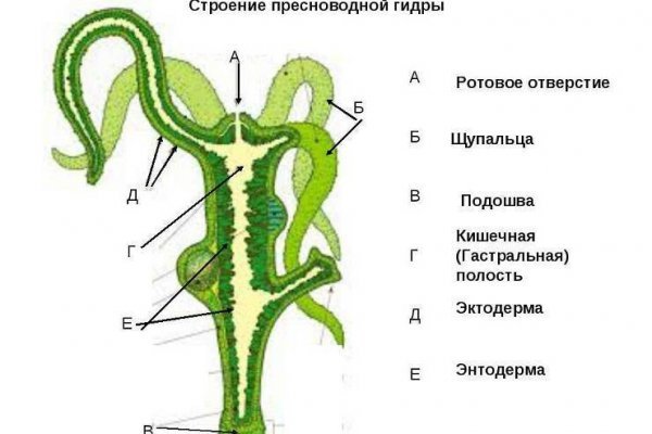 Как восстановить аккаунт на кракене даркнет