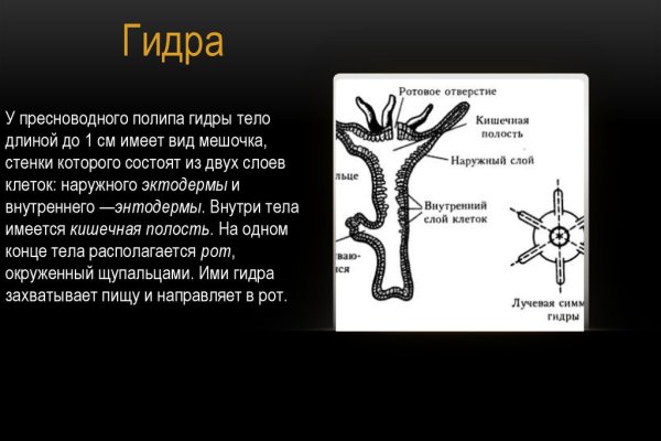 Кракен 13at