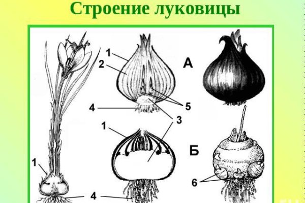 Ссылка на кракен в браузере
