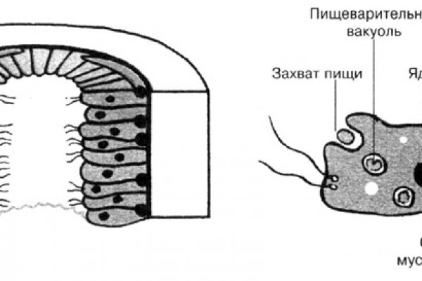 Зайти на кракен без тора